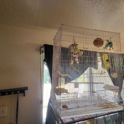 Casa De Pajaro