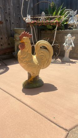 Rooster 