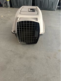 Portable dog kennel