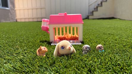 Little Live Pets Bunny