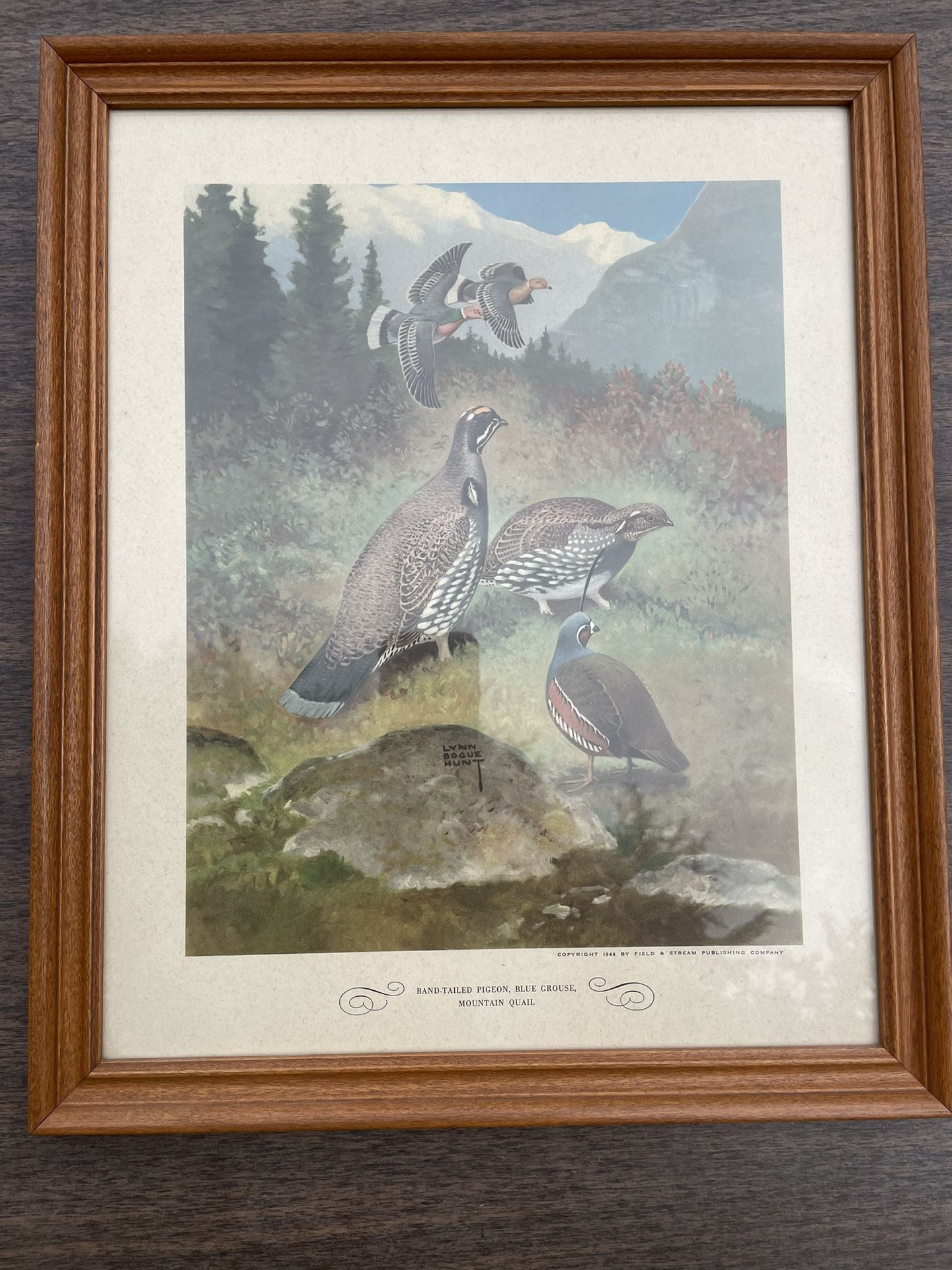 Lynn Bogue Hunt Lithographs