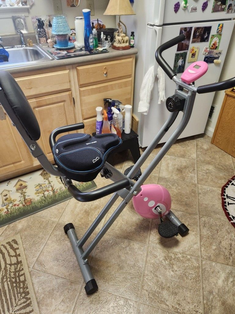 Sunny Health Fitness Exercise Bike