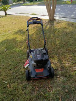 Echo lawn mower