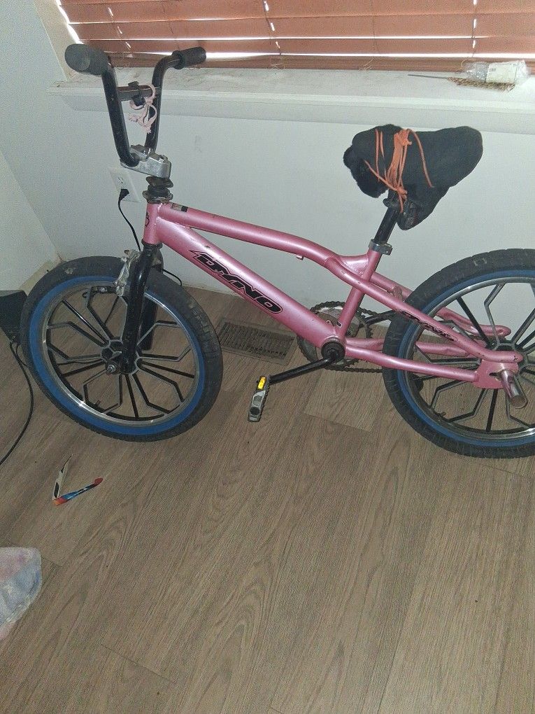 Gt Dyno