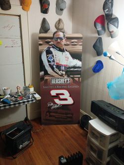 Dale Earnhardt cardboard cutout life size