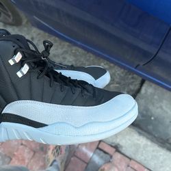 Jordan 12 Size 12