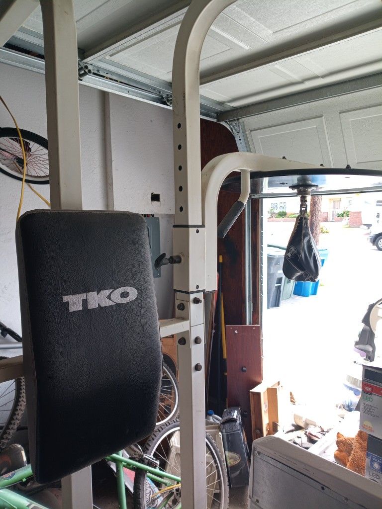 Heavy Bag Speed Bag Pull Up Combo TKO