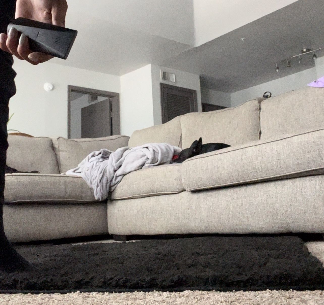Grey Sectional