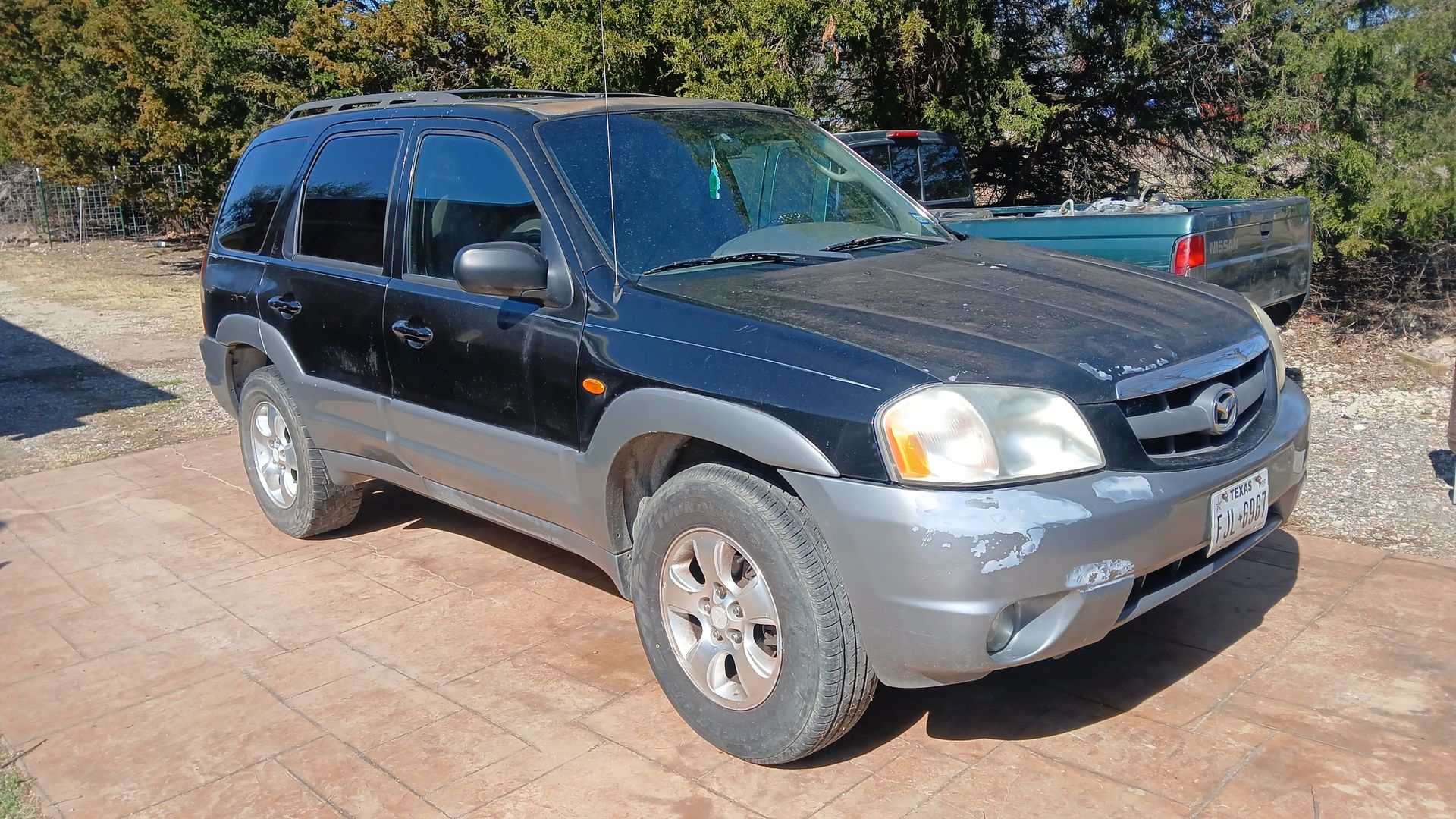 Mazda tribute