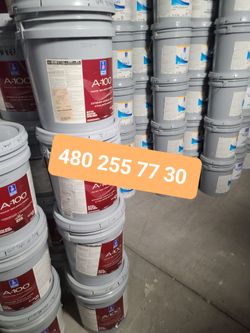 Paint and primer