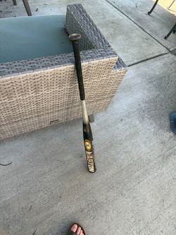 Easton Baseball Bat