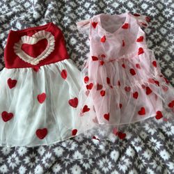 Cute Valentines Pet Dresses