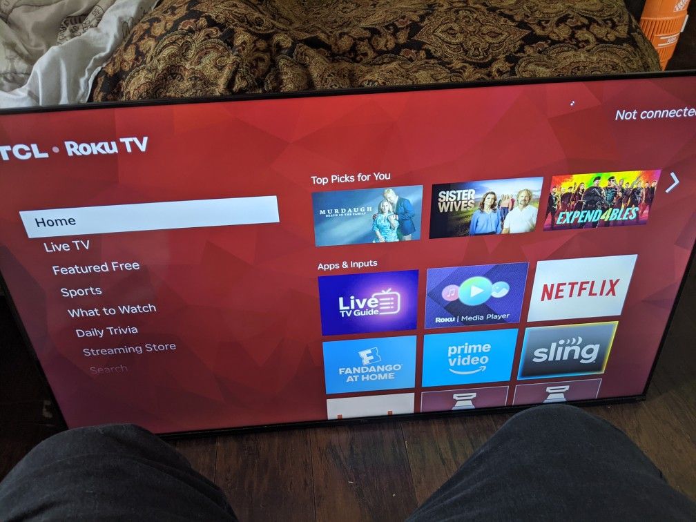 55 Inch Roku - Small Damage