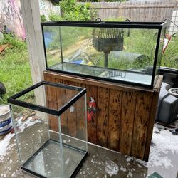 Fish Tanks  60 Gallons & 48 Gallon 