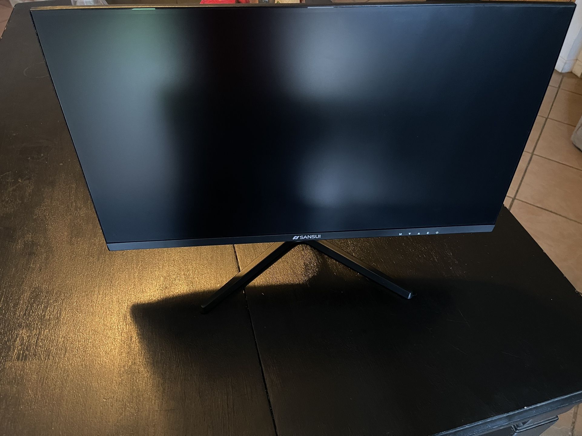 22” Sansui Monitor