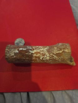 Large Possible Fossilized Bone Specimen – $50 OBO