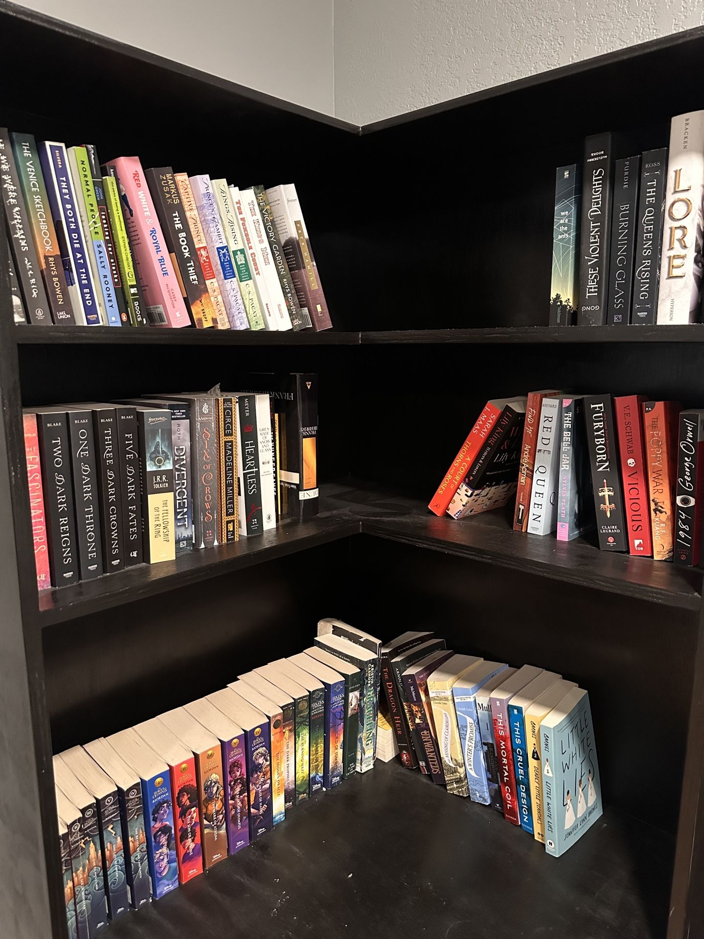 Book Shelf with all books Included