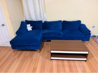 Moderately used sofa and coffee table