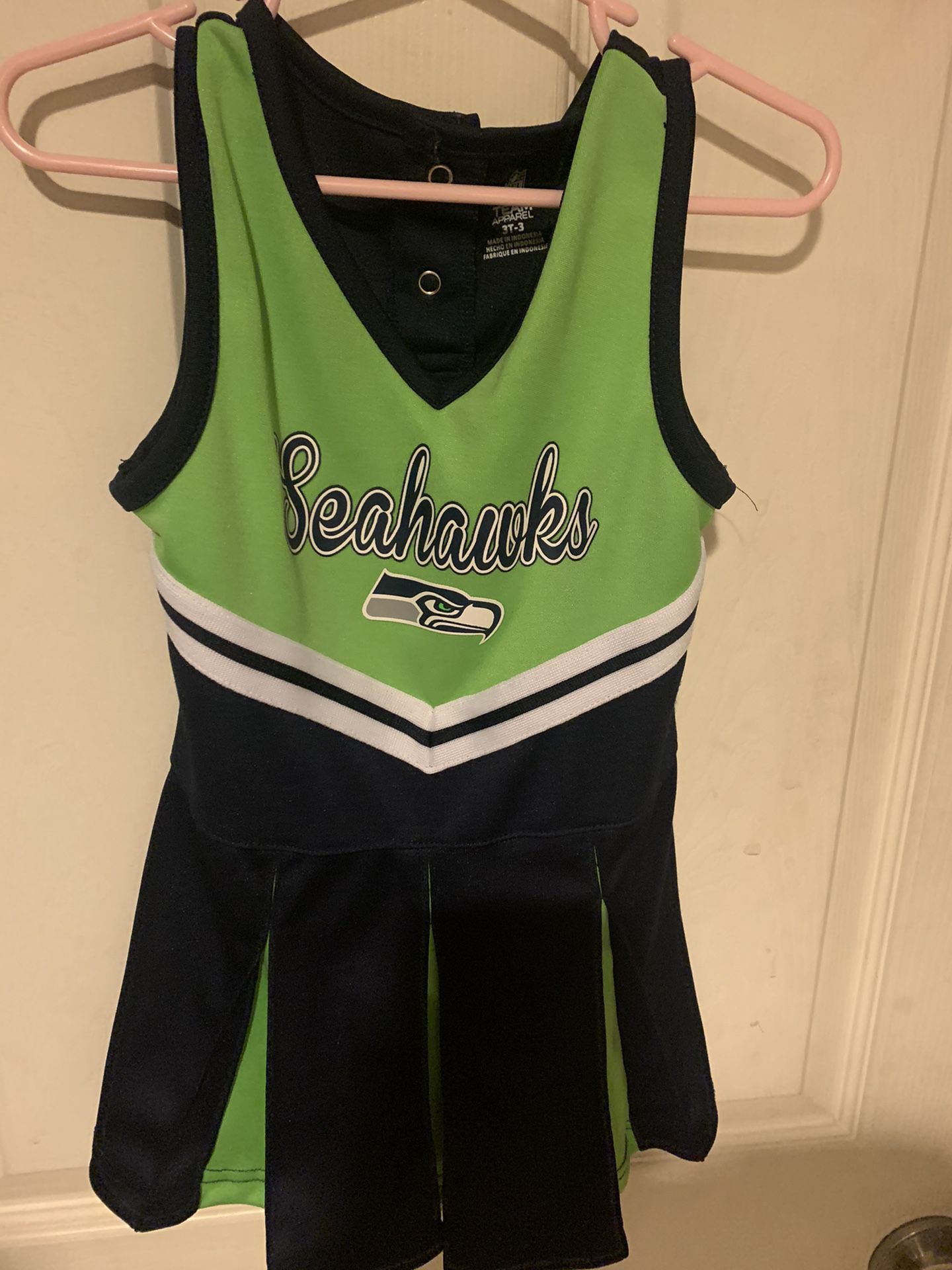 Seahawks CheerleaderThe Sea Gals Kids Uniform Size 3T