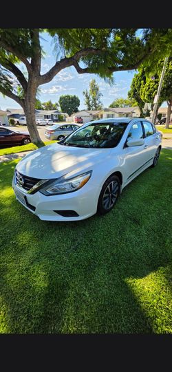 NISSAN ALTIMA 2016 ( WHITE  )