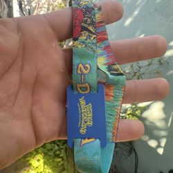 beyond 2 day pass GA