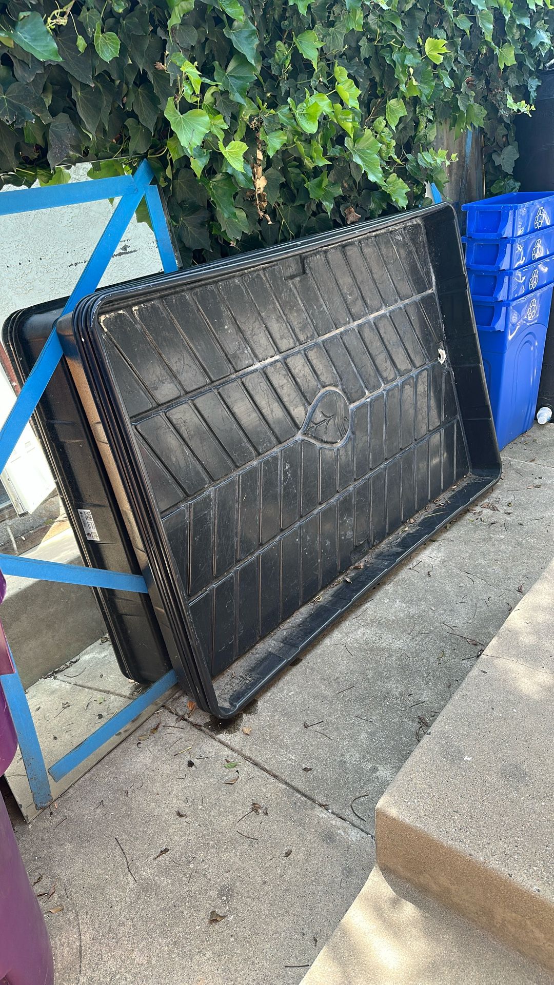 Grow Trays