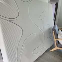 FREE Queen Mattress