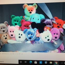 Beanie Babies-taken Offers On All