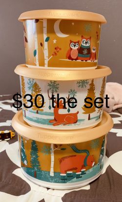 Tupperware set New