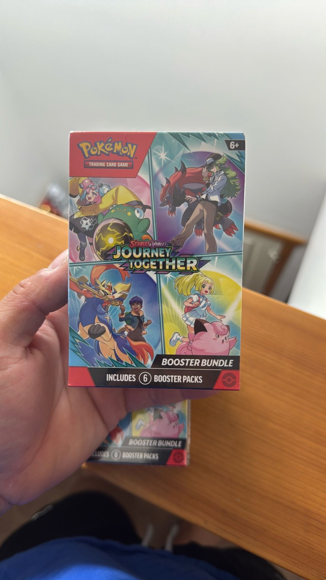 Journey Together Booster Bundle