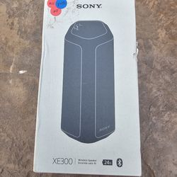 Sony Xe300 24h