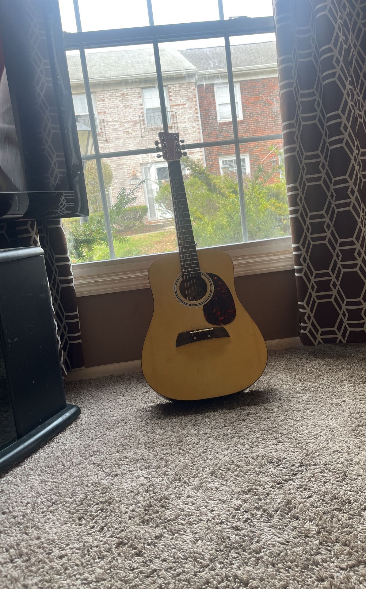 Guitar