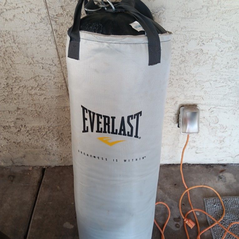 Everlast Punching Bag