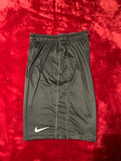 Nike men’s training dri fit shorts MEDIUM