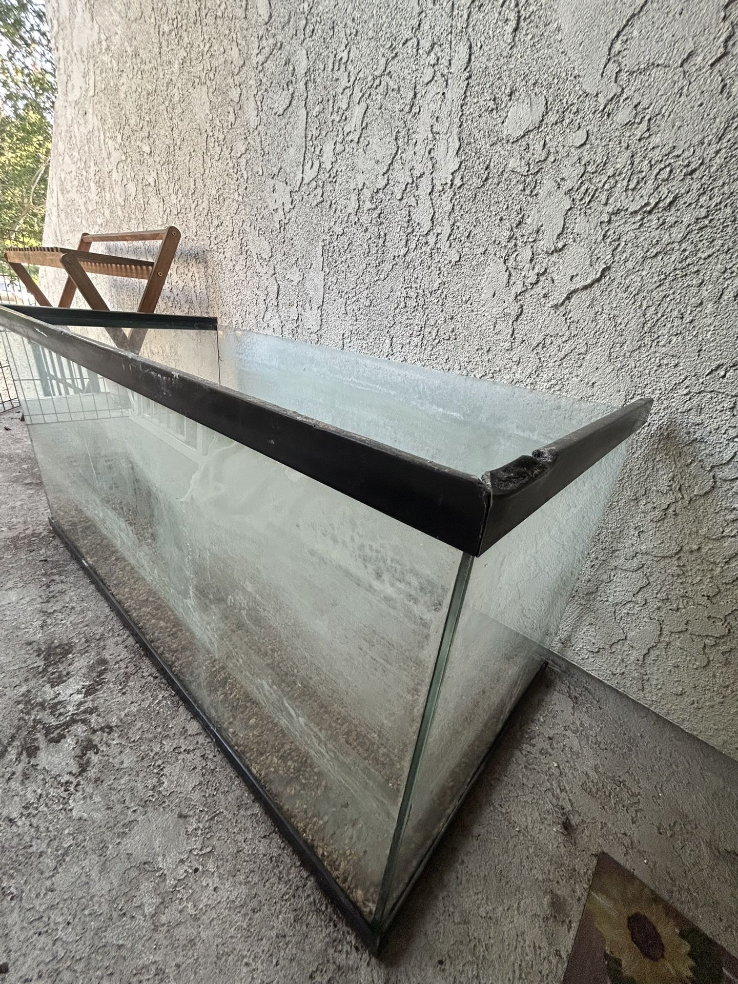 40 Gallon Tank