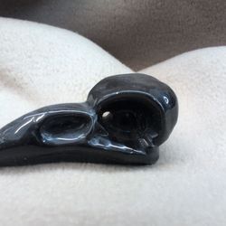 Raven /Crow Skull