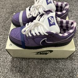 Purple Lobsters Size 7.5