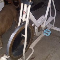Schwinn, Exercise Bike