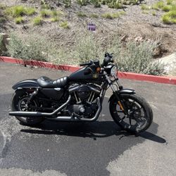 2022 Harley Davidson Iron 883