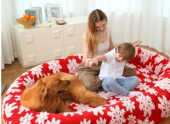 Switte Human Dog Bed Red (Snowflake Design) RARE FIND!