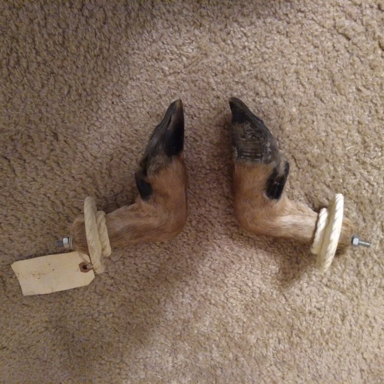 Deer Feet