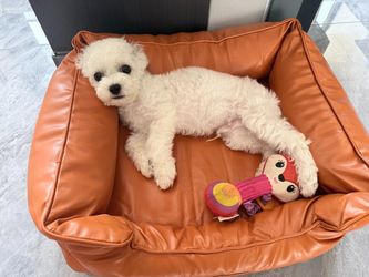 Non-Slip Faux Leather Pet Sofa Car Seat for Dogs & Cats