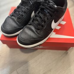 Nike Dunks (Sz 10.5)