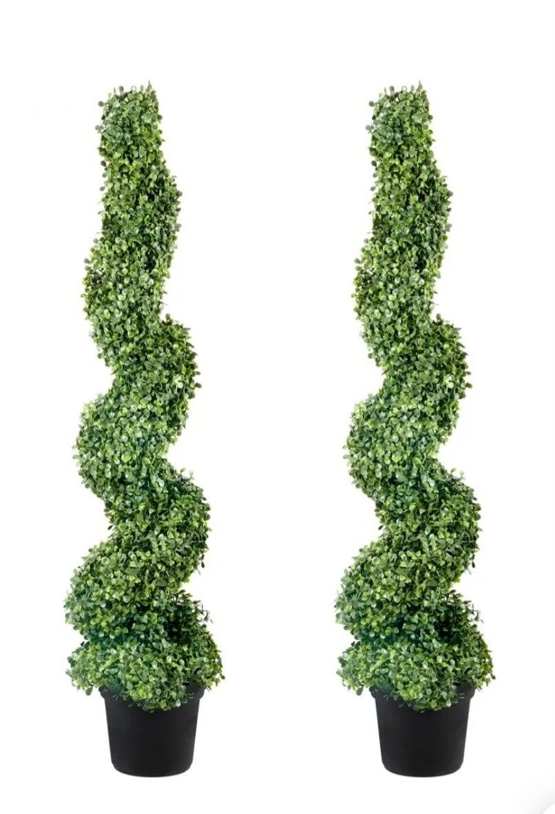 Spiral Topiary, Set Of 2