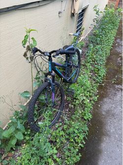 Nishiki 7 Speed Gray and Blue Mountain Bike