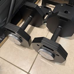 Adjustable Dumbbells 80 Lbs Each