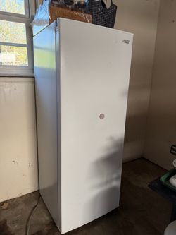 Stand Up Freezer