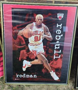 16x20 NBA Hall of Famer Dennis Rodman during his time with the Chicago Bulls. 
