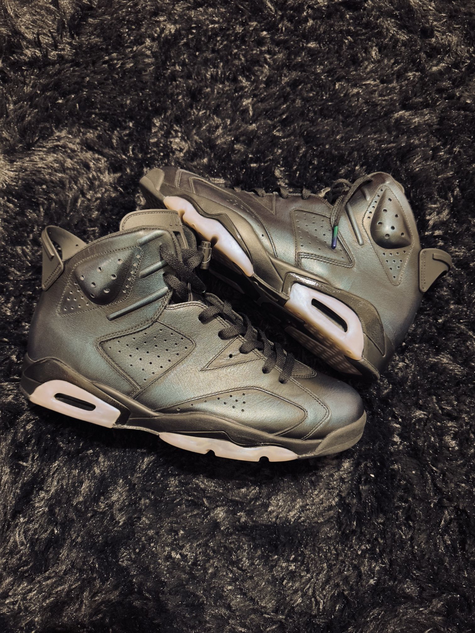 Jordan 6 “Chameleon” Size 13