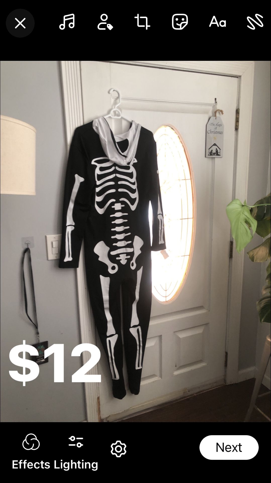 Xl Frontal Skeleton